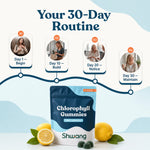 Shwang Chlorophyll Gummies